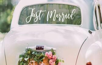 Unsere Kollektion anschauen